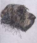 WIREHAIRED GRIFFON   LISTED ARTIST DOG ETCHING   BY LASKO   FREE SHIP 