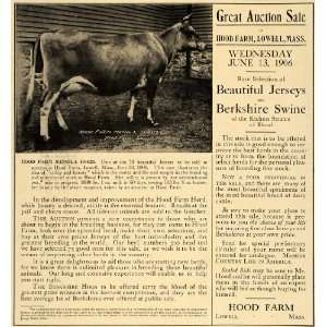   194026 Jersey Breed Cows Pigs   Original Print Ad