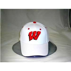  Wisconsin Badgers Adult One Fit Hat