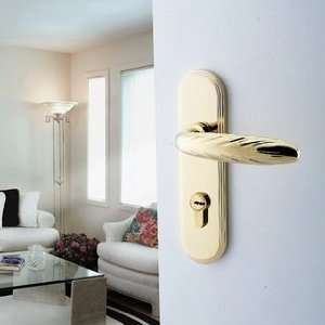  PVD Gold Double Bolt Mortise Door Lock