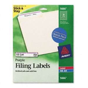  Permanent Self Adhesive Laser/Ink Jet File Folder Labels 