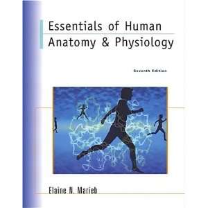   of Human Anatomy & Physiology Elaine Marieb  Books