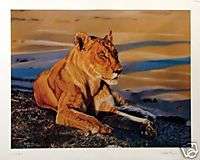 Milton Meyer Untitled Lion Hand Signed Limited Edition Offset 