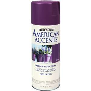  Rust Oleum 7939830 American Accents Spray, Satin Grape, 12 