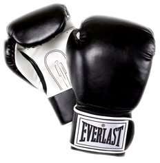 Everlast Pro Style Youth Training Gloves/Kic Boxing  