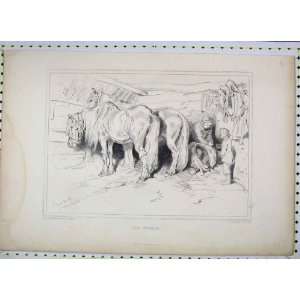    Antique Print Sketch Stable Horses Lewis Engraving