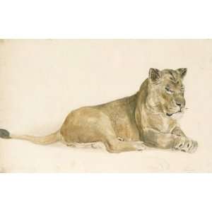     John Frederick Lewis   32 x 20 inches   A lioness