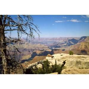   Canyon National Park, AZ by Bernard Friel, 96x144