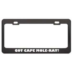 Got Cape Mole Rat? Animals Pets Black Metal License Plate Frame Holder 