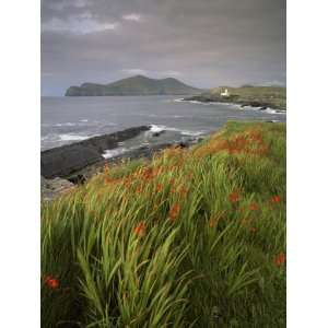  Lighthouse and Doulus Head, Valentia Island, Ring of Kerry 