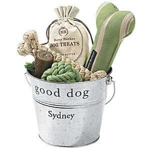  Small Earth Friendly Good Dog Bucket