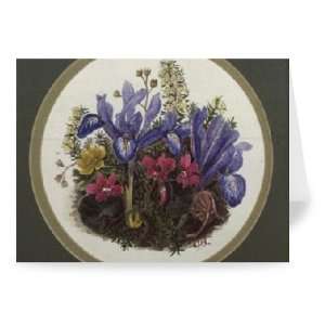 Iris Histriodes, Aconite and Cyclamen (w/c   Greeting Card (Pack of 