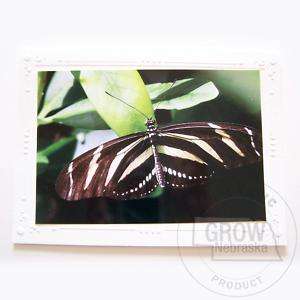 Creations by Valerie Card 5 pack Butterfly Notecards  