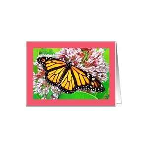  Monarch Butterfly, Milkweed Wildflower, Any Occasion Blank 