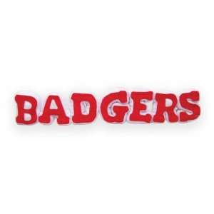  University of Wisconsin Spirit Name Plush Badgers Toys 