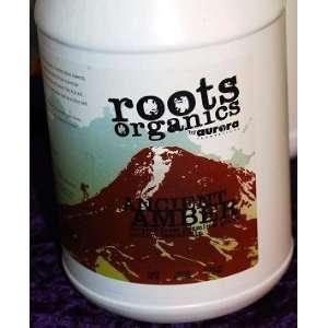   Amber 715080 ROOTS ANCIENT AMBER 5 GALLON Patio, Lawn & Garden