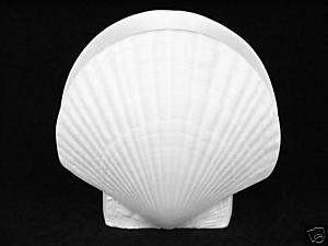 Beach Sea Shell Napkin Holder Ceramic Bisque Unpainted  