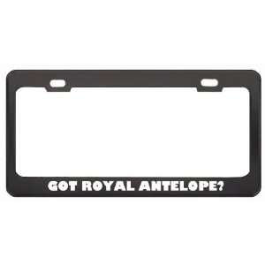  Got Royal Antelope? Animals Pets Black Metal License Plate 