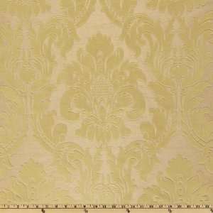  60 Wide Dior Velveteen Damask Natural Fabric By The Yard 