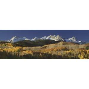  Autumnal View of Aspen Trees and the Rocky Mountains, San 