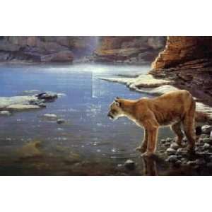 John Seerey Lester   Canyon Creek Cougar
