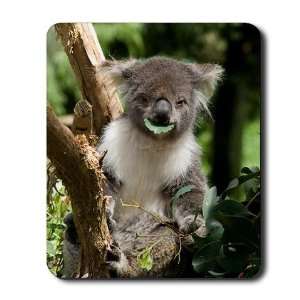 Koala Bear Animals Mousepad by 