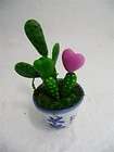 Jabba Hutt Cactus Strange 3 5 Clay Pot Easy  
