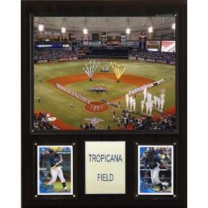  MLB Tropicana Field Stadium Plaque