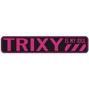   TRIXY IS MY IDOL  STREET SIGN