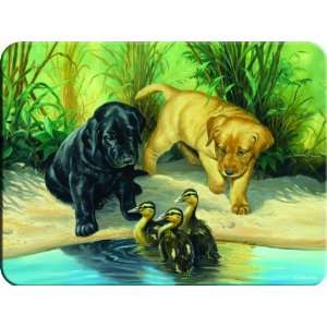   Cute Lab Puppies Watching Over Ducklings on a River Bank (12 x 16 Inch