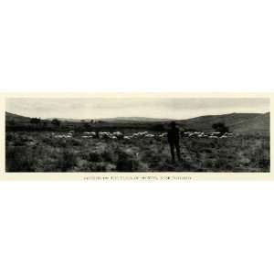 1923 Print Plain Murtos Torralba Flock Sheep Pasture Shepherd Farming 