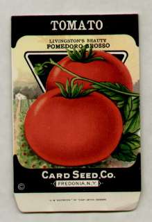 1920s LITHO CARD CO. POMEDORO TOMATO SEED PACKET  