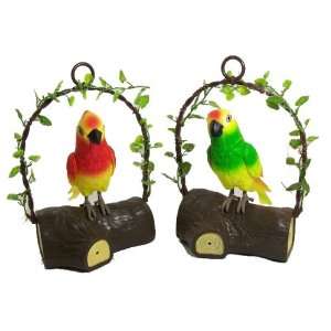  Two Talking Imitating Parrots stand on the trunk (Green 