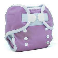 Thirsties Duo Wrap Cloth Diaper Cover & Stay Dry Duo Insert Orchid Sz 