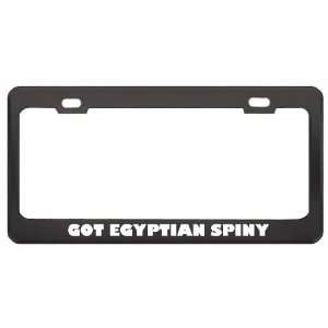 Got Egyptian Spiny Mouse? Animals Pets Black Metal License Plate Frame 