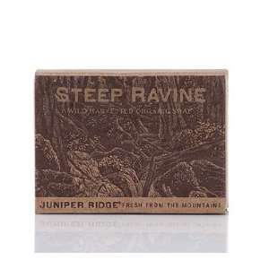   Ridge Juniper Ridge Steep Ravine Soap 3.5 fl oz   3.5 fl oz Beauty