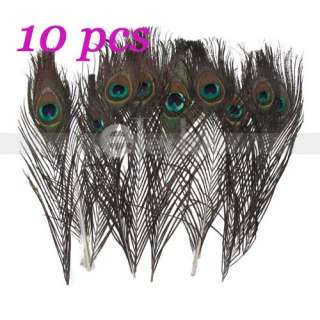 10 Pcs FEATHER PEACOCK TAILS 10 12 Tail Feathers Deco  