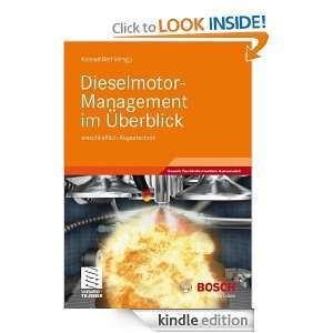   Abgastechnik (Bosch Fachinformation Automobil) (German Edition