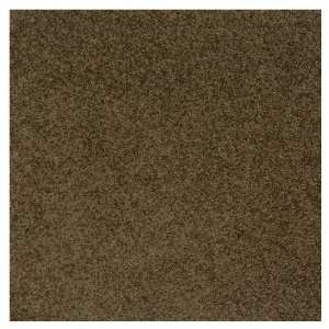  Legato 19.7 Texture Carpet Tile 545029512911