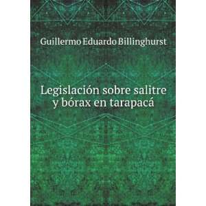   bÃ³rax en tarapacÃ¡ Guillermo Eduardo Billinghurst Books