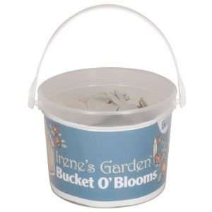   Bucket O Blooms Chipboard   64PK/Flowers Arts, Crafts & Sewing