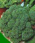Waltham 29 Broccoli 100 Fresh Seeds Vegetable New  