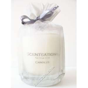  Scentsational Autumn Leaves Fragrance Soy Candle