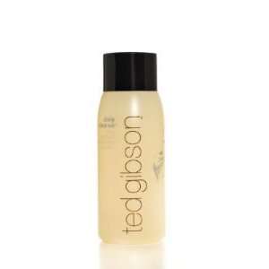  Ted Gibson Daily Cleanse Shampoo 2 fl oz (60 ml) Beauty