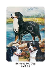 Bernese Mountain Dog Playing Cards Ruth Maystead  