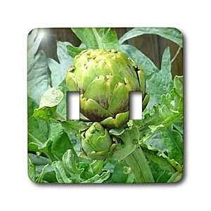  Vegetables   Artichoke   Light Switch Covers   double 