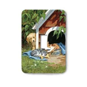  Kittens in the Doghouse Decorative Steel Switchplate Cover 