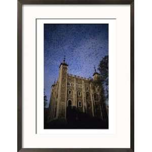  A Flock of Starlings in Flight over the Tower of Londons 