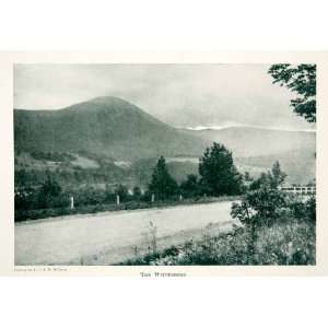 1921 Print Wittenberg Forest Catskill Mountains New York 