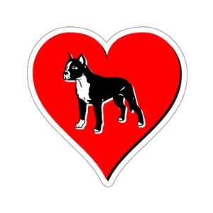  American Staffordshire Love   Window Bumper Sticker 